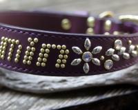 ホワイトシェパード　JASMIN　紫の首輪とリード　真鍮金具