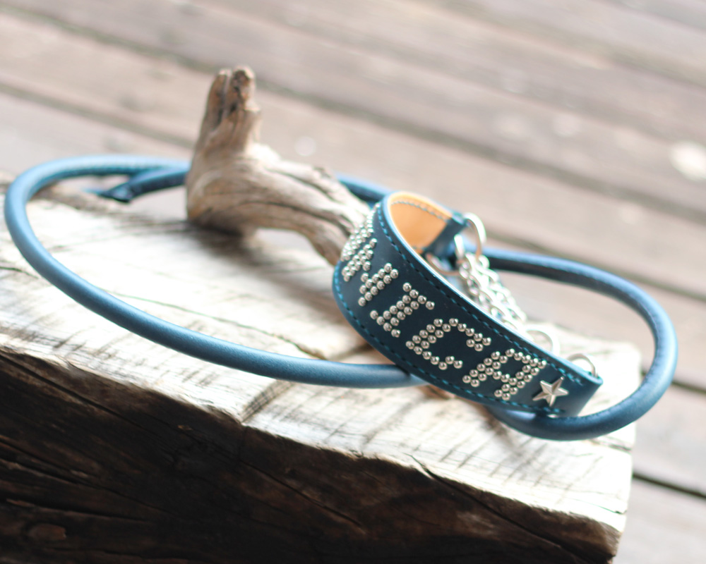 小さなスタッズで「MONICA」と名前を飾り付けたハーフチョーク　青革　イタリアングレーハウンドMONICAちゃんのオーダー品
