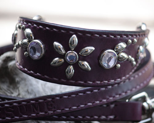 紫色の革の幅広ハーフチョーク　サイトハウンド用　イタリアングレーハウンドNATSUMEちゃんオーダー品