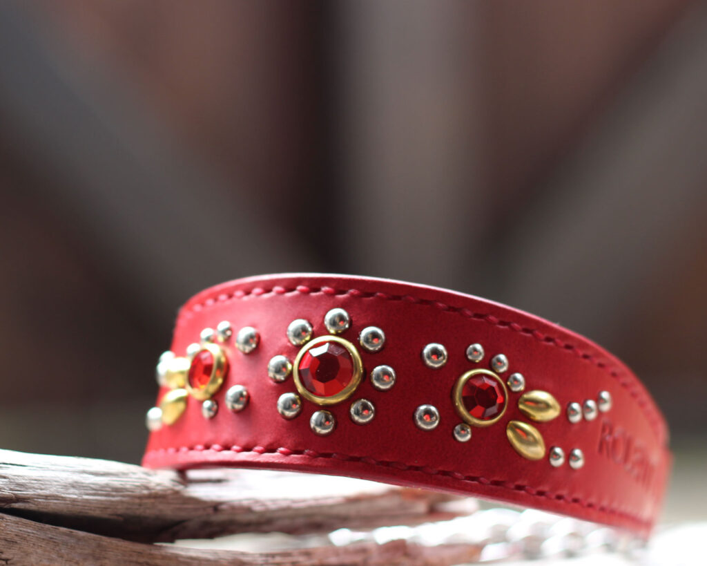 赤い本革の幅広ハーフチョーク　サイトハウンド用　イタリアングレーハウンドROLENTUOちゃんのオーダーメイド