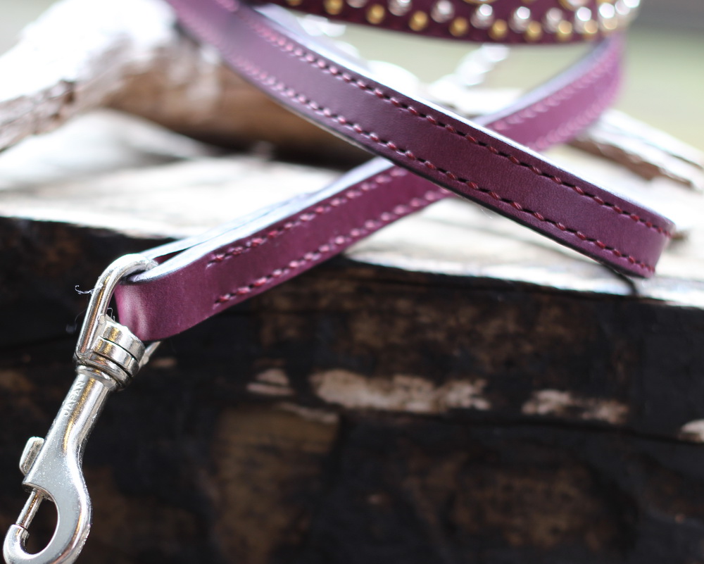 真鍮と銀色のスタッズで飾られた紫の革のハーフチョーク　ブルテリアのBOWちゃんのオーダー品