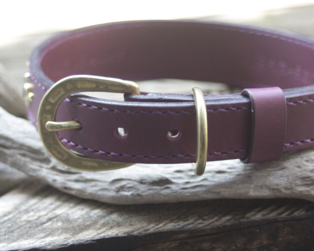 ホワイトシェパードJASMINちゃん　紫の大型犬用首輪とリード　スタッズでの名前入り　真鍮馬蹄バックル
