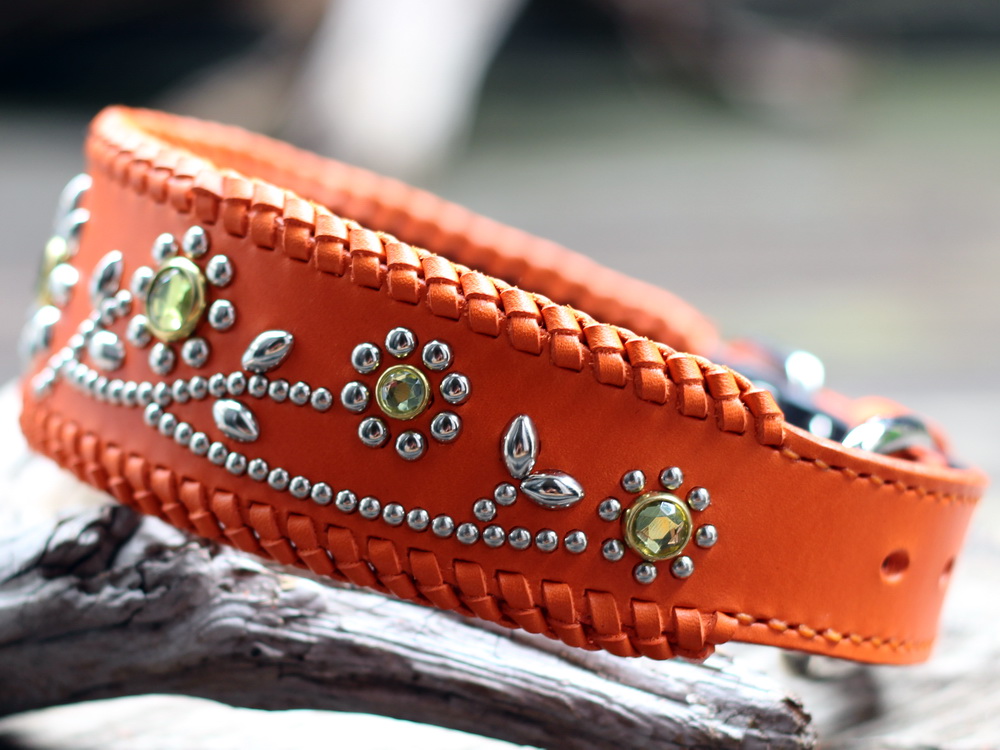 ドーベルマン　KAIちゃん　オレンジ色の革のかがり幅広首輪　オーダーメイド商品　右側の画像