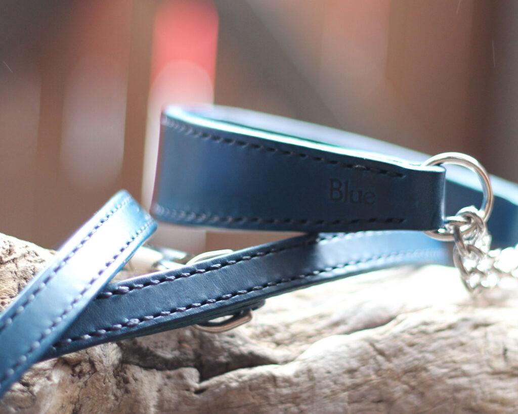 シンプルな青革のハーフチョークとリード　イングリッシュコッカースパニエルBLUEちゃんのオーダー品