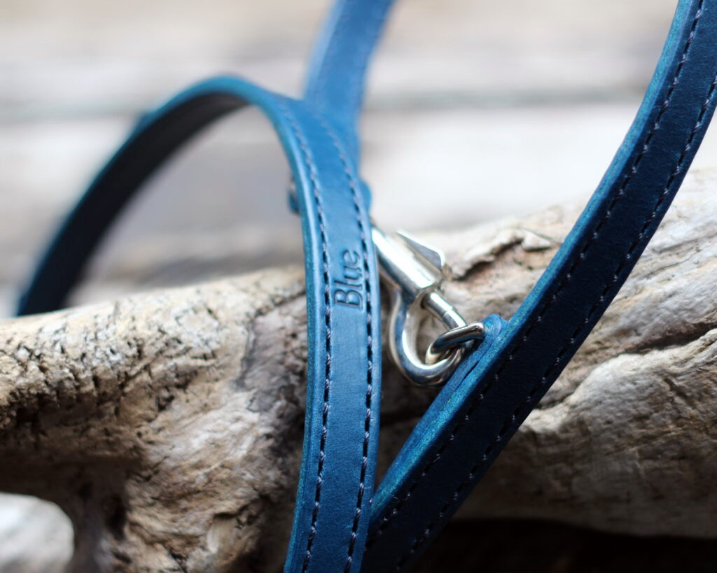 シンプルな青革のリード　イングリッシュコッカースパニエルBLUEちゃんのオーダー品