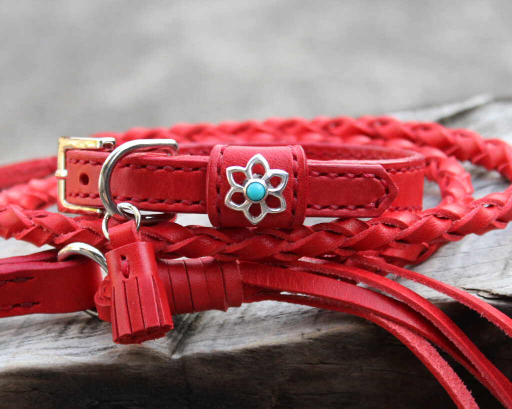 小型犬用首輪12㎜幅と編み込みリード　赤