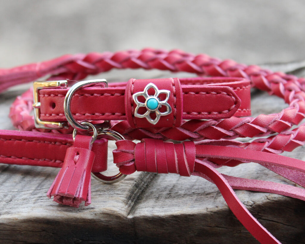小型犬用首輪12㎜幅と編み込みリード　ビビッドピンク