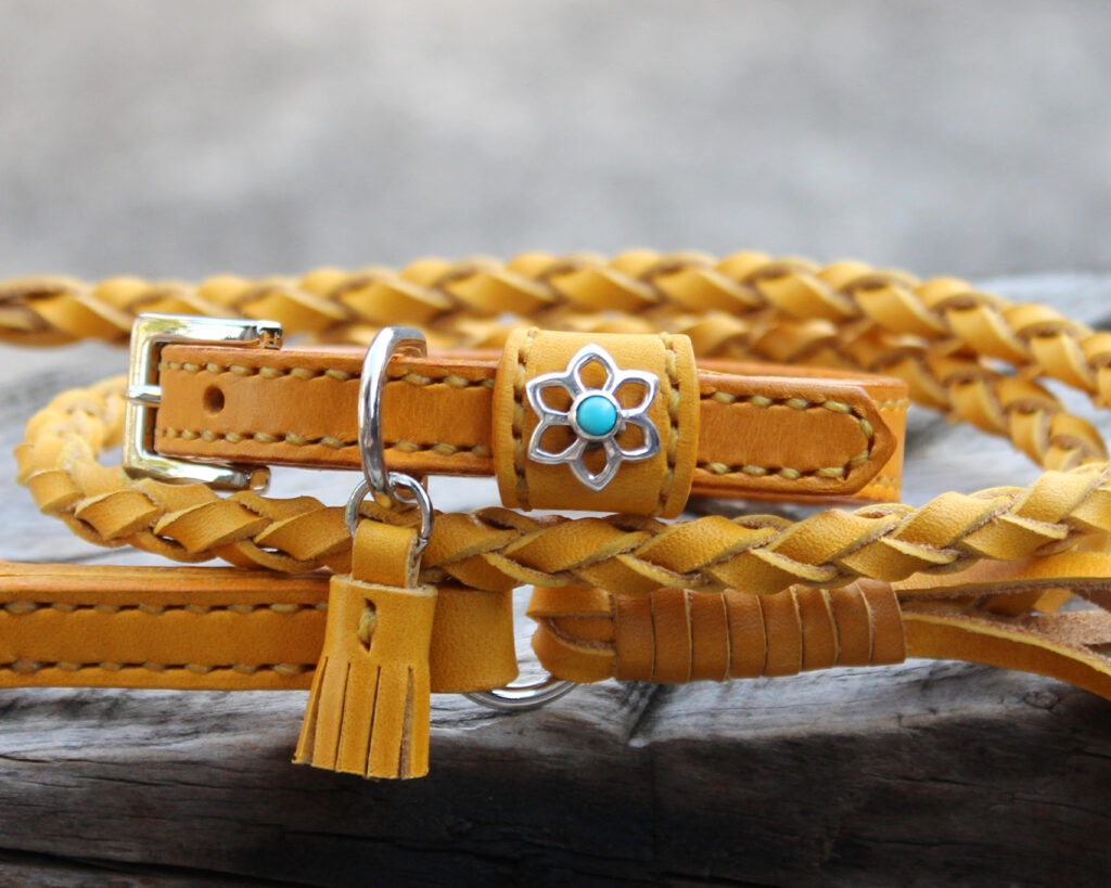 小型犬用首輪12㎜幅と編み込みリード　黄色