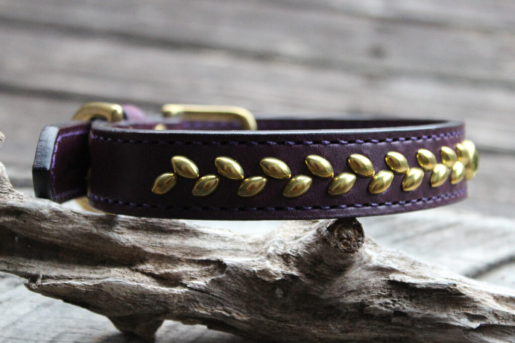 真ちゅう製スタッズの紫革中型犬・大型犬首輪