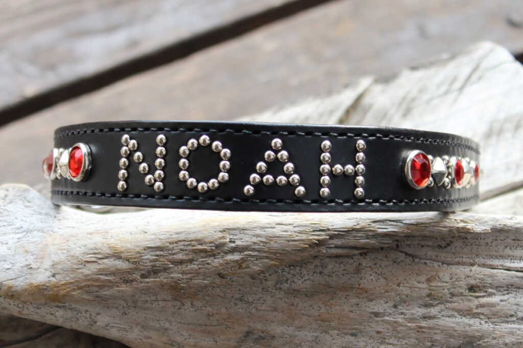黒い革のオーバル型犬用ハーフチョーク。中央にはNOAHという名前が3㎜のスタッズで施されており、名前の左右には赤いアクリルスタッズとピラミッドスタッズが飾り付けられています。正面画像