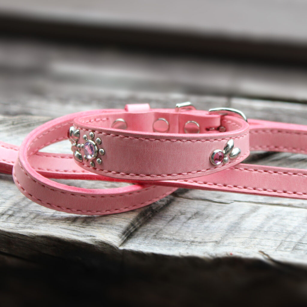 桜色の革首輪と革のリード小型犬用首輪
